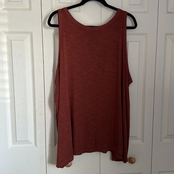 NWOT Soft Sleevles V neck Top - Picture 5 of 6